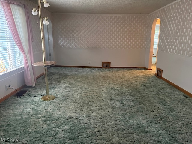 carpeted spare room with crown molding and a textured ceiling