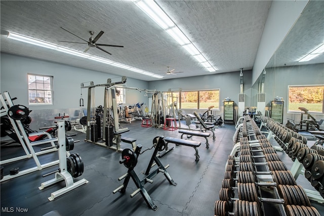 workout area featuring ceiling fan