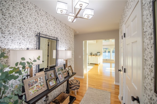 hallway featuring hardwood / wood-style floors