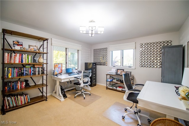 carpeted office with a wealth of natural light