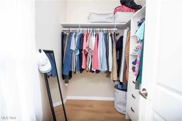 spacious closet with hardwood / wood-style floors