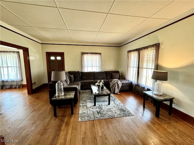 living room with hardwood / wood-style floors, a drop ceiling, and crown molding