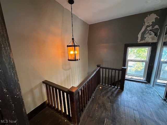 stairway with hardwood / wood-style floors