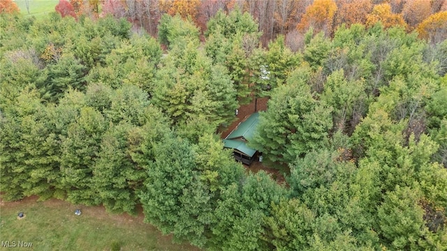 33352 Teegarden Rd Unit 787, Lisbon, OH 44432 - aerial view of a heavily wooded area