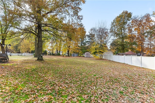 view of yard with a storage unit