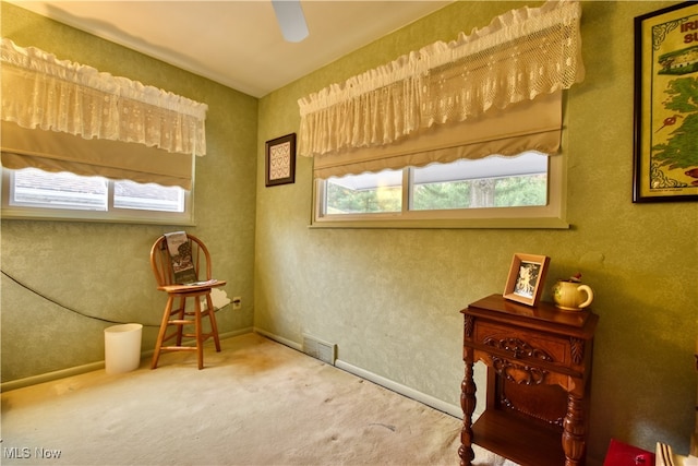 interior space featuring carpet flooring and a healthy amount of sunlight