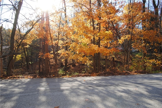 Mill Hollow Ln, Strongsville OH, 44136 land for sale