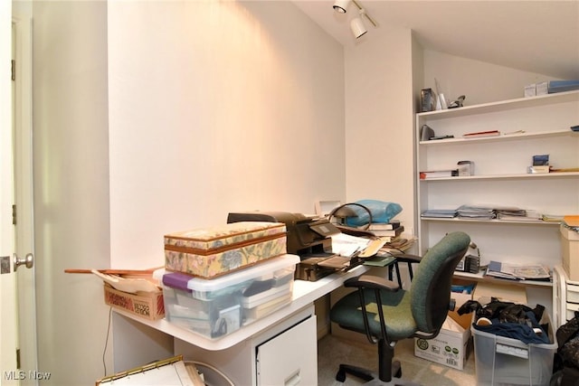 432 Chipping Ln, Chagrin Falls, OH 44023 - home office featuring vaulted ceiling and track lighting