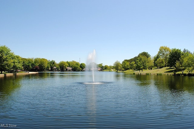 view of water feature