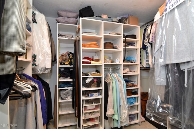 view of walk in closet