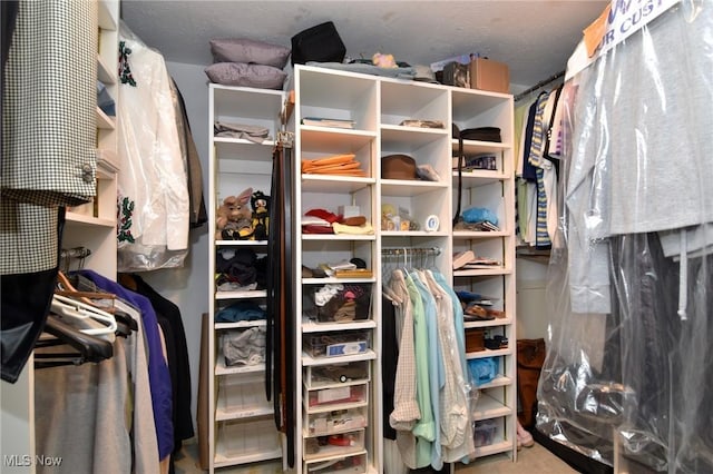 432 Chipping Ln, Chagrin Falls, OH 44023 - view of walk in closet