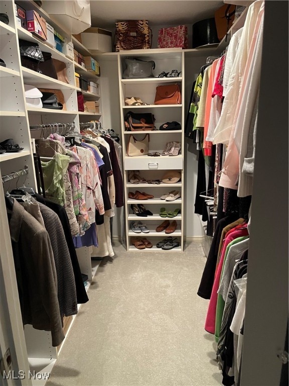 spacious closet with carpet flooring