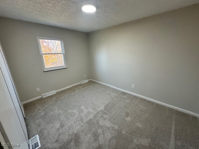 empty room featuring a textured ceiling and carpet flooring