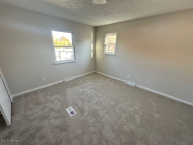 spare room with a healthy amount of sunlight, carpet, and a textured ceiling