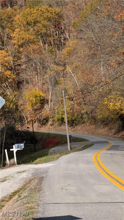 7517 N Fork Rd, Pine Grove, WV 26419 - view of asphalt street
