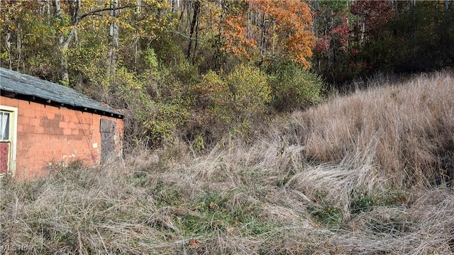 view of local wilderness