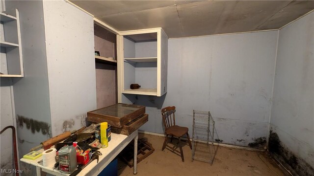 7517 N Fork Rd, Pine Grove, WV 26419 - view of storage room