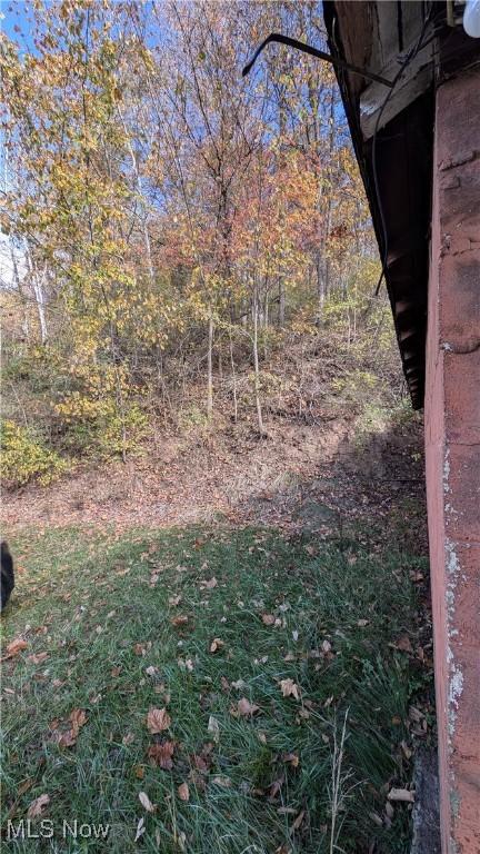 7517 N Fork Rd, Pine Grove, WV 26419 - view of yard