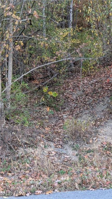7517 N Fork Rd, Pine Grove, WV 26419 - view of undeveloped land