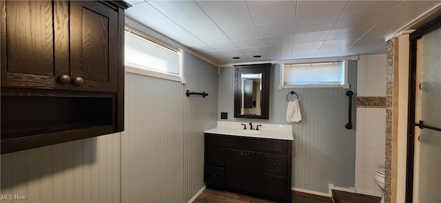 bathroom featuring vanity, hardwood / wood-style flooring, toilet, and walk in shower