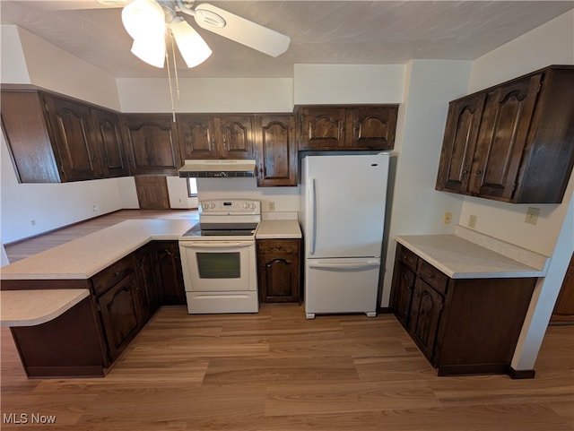 kitchen with light hardwood / wood-style floors, dark brown cabinets, white appliances, and ceiling fan