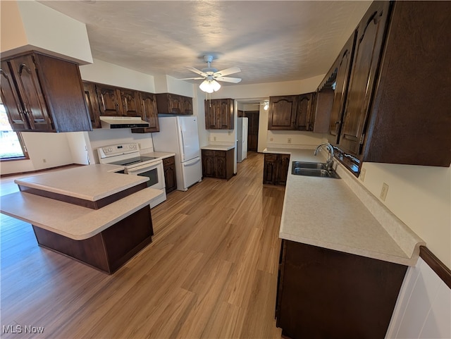 kitchen featuring light hardwood / wood-style flooring, dark brown cabinets, sink, white appliances, and ceiling fan