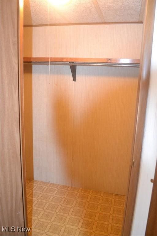 walk in closet with elevator