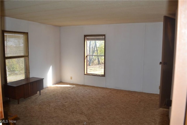 view of carpeted spare room