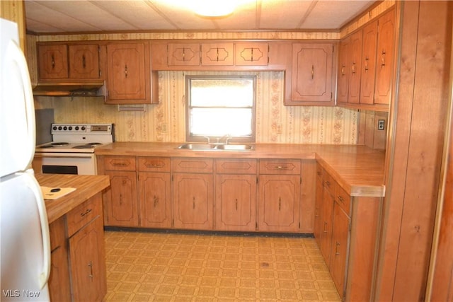 kitchen with white appliances and sink