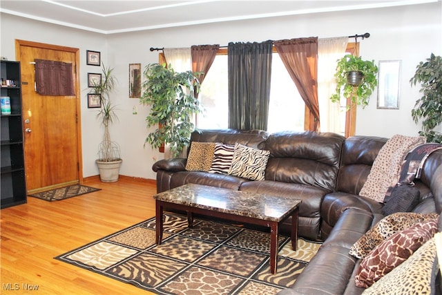 living room with wood-type flooring