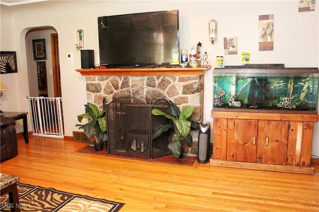 living room featuring a fireplace and wood-type flooring