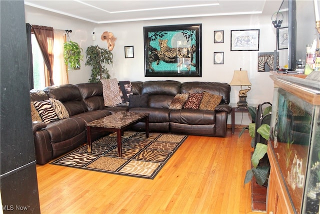 living room with hardwood / wood-style floors