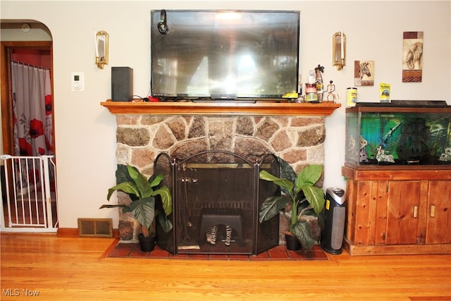 details featuring hardwood / wood-style flooring and a fireplace