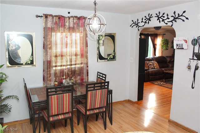 dining room with a wealth of natural light and hardwood / wood-style flooring