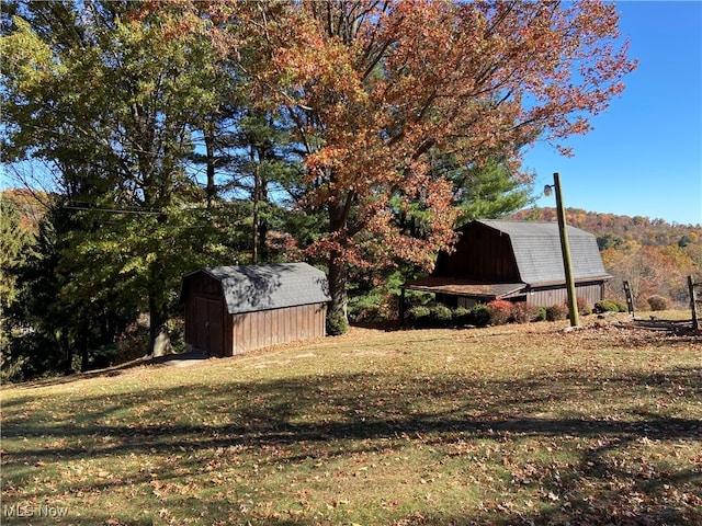 view of yard with a shed