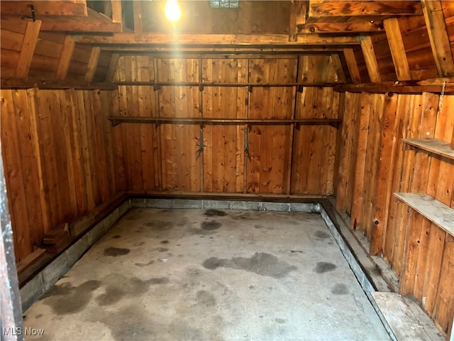 basement featuring wooden walls