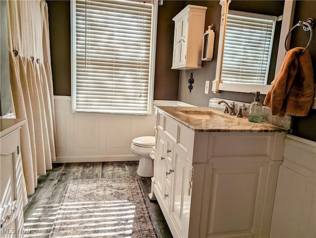 bathroom with toilet, vanity, and plenty of natural light