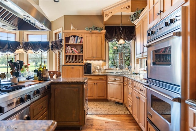 kitchen with ventilation hood, double oven, a healthy amount of sunlight, and light hardwood / wood-style floors