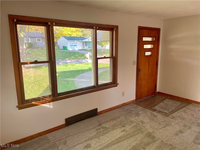 carpeted entryway featuring a wealth of natural light