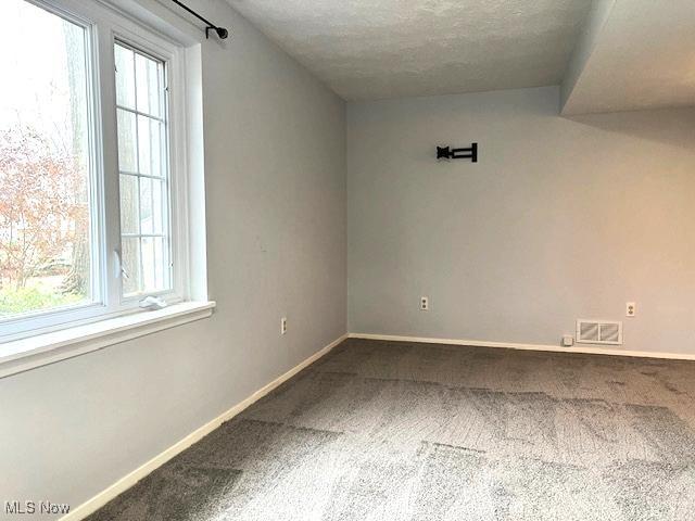 carpeted empty room featuring a wealth of natural light and a textured ceiling