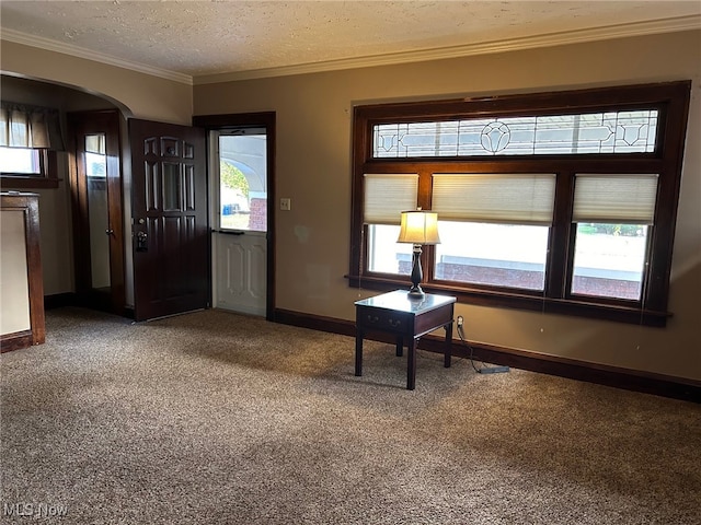 entryway with a textured ceiling, carpet, and a healthy amount of sunlight