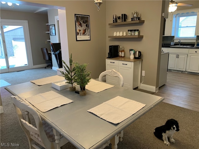 dining area featuring ceiling fan, wood-type flooring, and sink