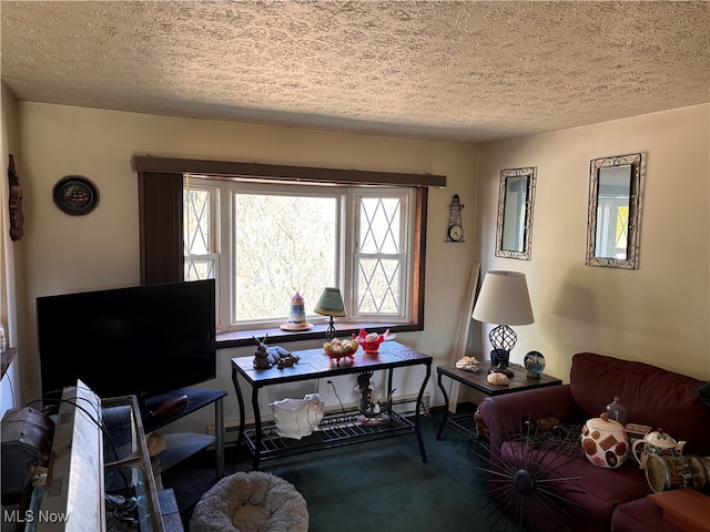 living room featuring carpet and a textured ceiling