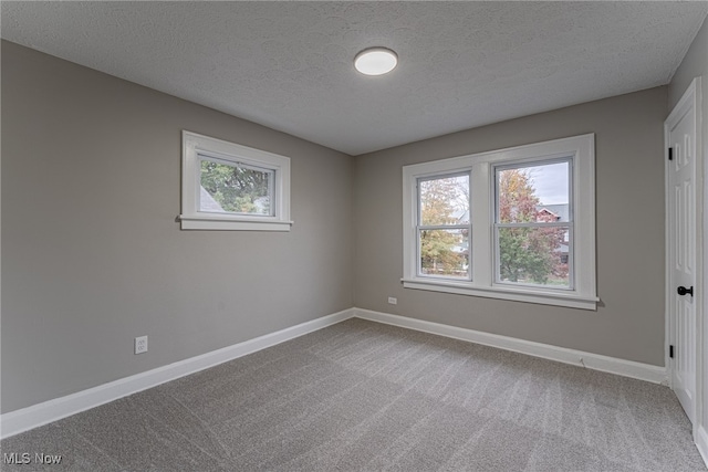 spare room with carpet and a textured ceiling