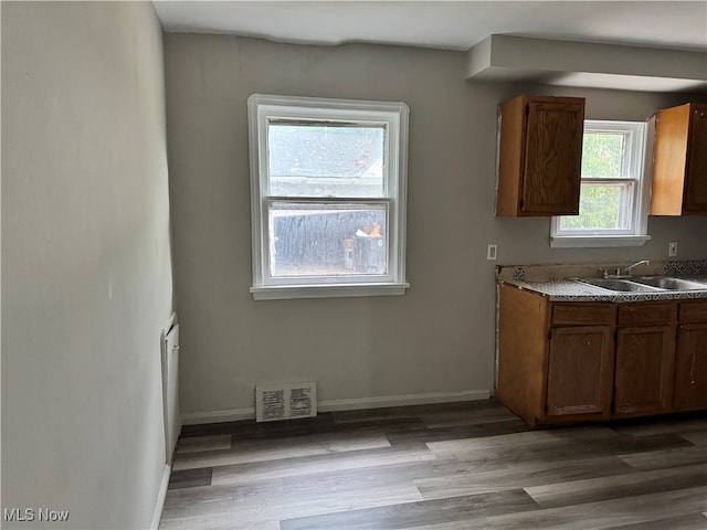 kitchen featuring light hardwood / wood-style floors and sink