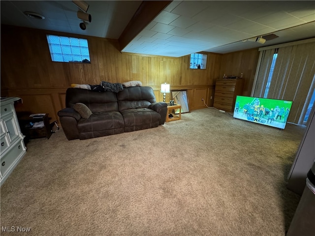 living room with carpet flooring and wooden walls