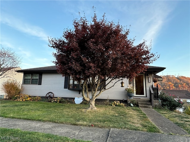 view of property hidden behind natural elements with a front lawn