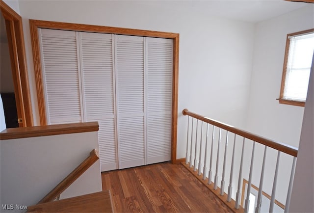 corridor with dark hardwood / wood-style flooring