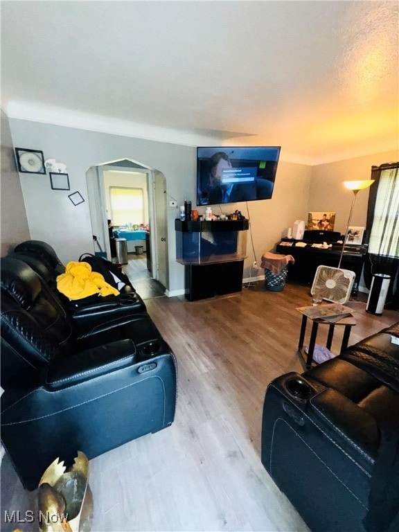 living room featuring wood-type flooring