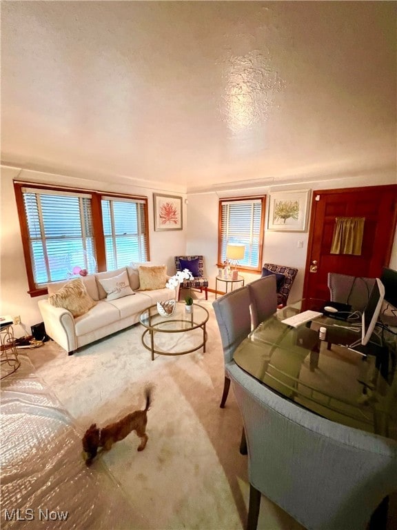 living room with a textured ceiling